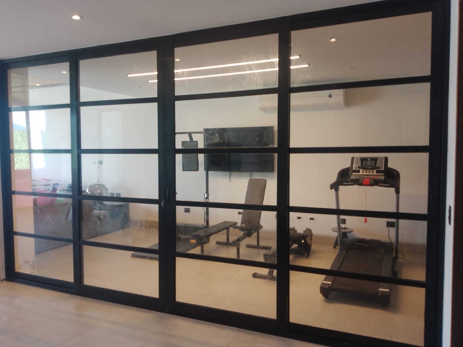 Cancel divisorio de aluminio negro con cristal templado tipo retícula, separando área de gimnasio con vista despejada hacia el interior.